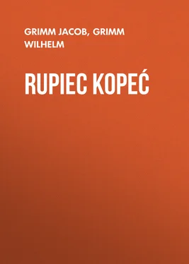 Grimm Wilhelm Rupiec Kopeć обложка книги