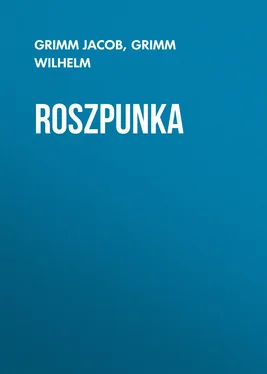Grimm Wilhelm Roszpunka обложка книги