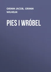 Grimm Jacob - Pies i wróbel