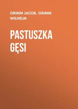 Grimm Jacob Pastuszka gęsi обложка книги