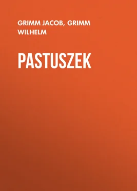 Grimm Wilhelm Pastuszek обложка книги