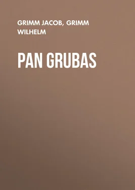 Grimm Wilhelm Pan Grubas обложка книги