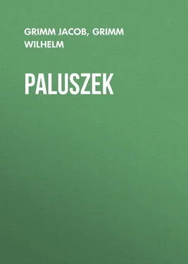Grimm Jacob Paluszek обложка книги