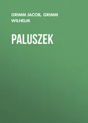 Grimm Jacob - Paluszek