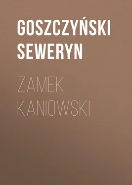 Goszczyński Seweryn Zamek kaniowski обложка книги