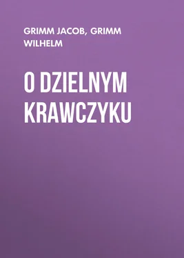 Grimm Wilhelm O dzielnym krawczyku обложка книги