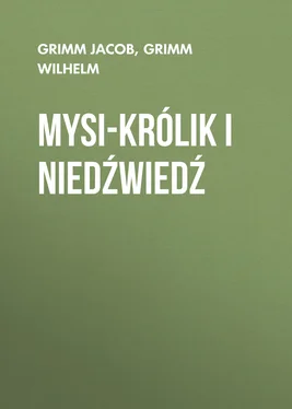 Grimm Wilhelm Mysi-królik i niedźwiedź обложка книги