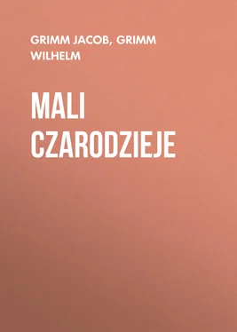 Grimm Wilhelm Mali czarodzieje обложка книги