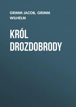 Grimm Wilhelm Król Drozdobrody обложка книги