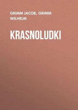 Grimm Jacob Krasnoludki обложка книги