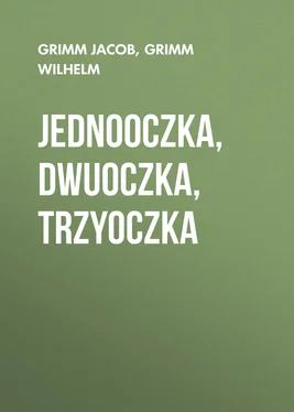 Grimm Wilhelm Jednooczka, Dwuoczka, Trzyoczka обложка книги