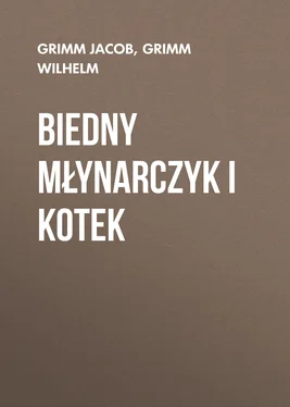 Grimm Wilhelm Biedny młynarczyk i kotek обложка книги