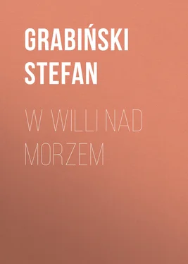 Grabiński Stefan W willi nad morzem обложка книги