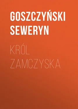 Goszczyński Seweryn Król Zamczyska обложка книги