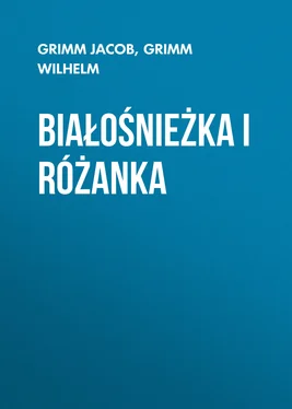 Grimm Wilhelm Białośnieżka i Różanka обложка книги