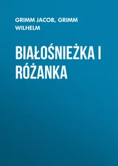 Grimm Wilhelm - Białośnieżka i Różanka