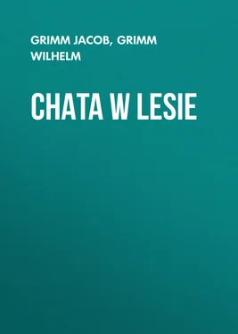 Grimm Wilhelm Chata w lesie обложка книги