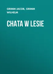 Grimm Wilhelm - Chata w lesie