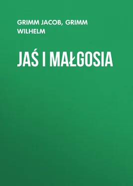 Grimm Wilhelm Jaś i Małgosia обложка книги