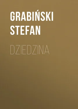 Grabiński Stefan Dziedzina обложка книги