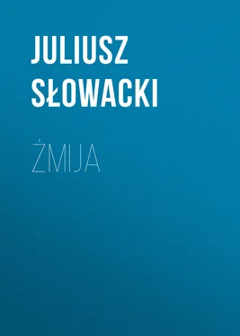 Juliusz Słowacki Żmija обложка книги