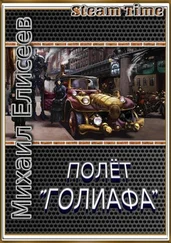 Михаил Елисеев - Полёт Голиафа