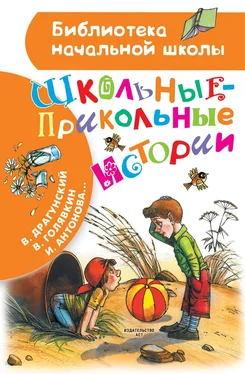 Ирина Пивоварова Школьные-прикольные истории обложка книги