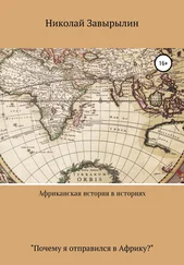 Николай Завырылин - Африканская история в историях