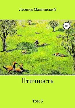 Леонид Машинский Птичность. Том 3 обложка книги