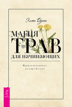 Эллен Дуган Магия трав для начинающих. Приземленное волшебство обложка книги