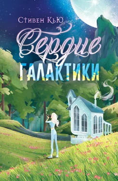 Стивен Кью Сердце галактики обложка книги