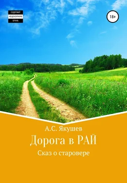 Андрей Якушев Дорога в РАЙ обложка книги