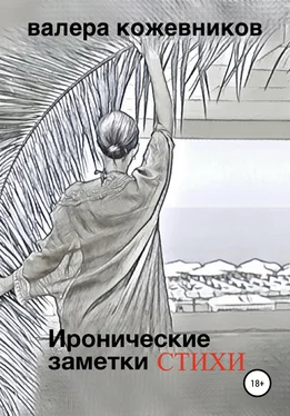 Валера Кожевников Иронические заметки обложка книги