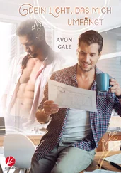 Avon Gale - Dein Licht, das mich umfängt