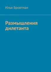 Илья Бровтман - Размышления дилетанта