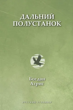 Богдан Агрис Дальний полустанок обложка книги