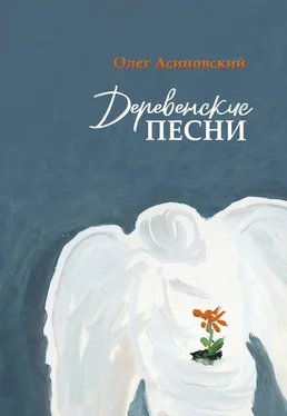 Олег Асиновский Деревенские песни обложка книги