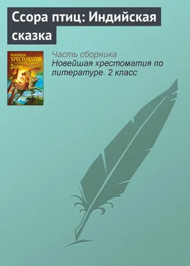 Паблик на ЛитРесе Ссора птиц: Индийская сказка обложка книги