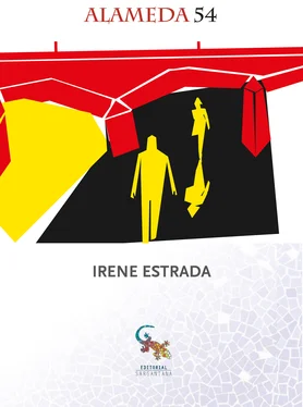 Irene Estrada Alameda 54 обложка книги