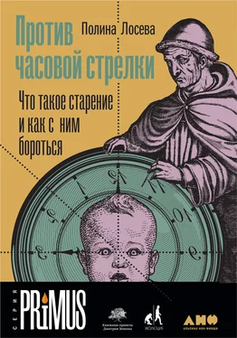 Полина Лосева Против часовой стрелки обложка книги