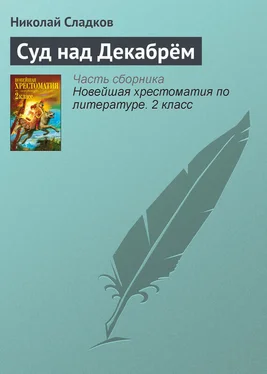 Николай Сладков Суд над Декабрём обложка книги