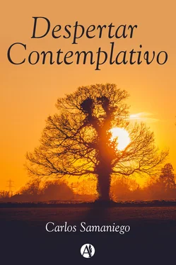Carlos Samaniego Despertar contemplativo обложка книги