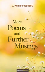 J. Philip Goldberg - More Poems and Further Musings