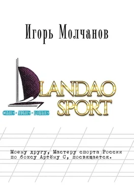 Игорь Молчанов Landao sport обложка книги