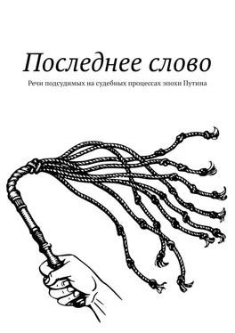 Дмитрий Вострецов Последнее слово. Речи подсудимых на судебных процессах эпохи Путина обложка книги