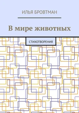 Илья Бровтман В мире животных. Стихотворения обложка книги