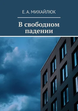 Е. А. Михайлюк В свободном падении обложка книги