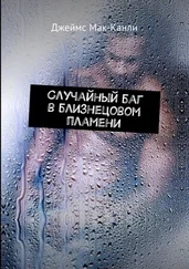 Джеймс Мак-Канли - Случайный баг в близнецовом пламени