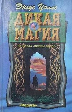 Энгус Уэллс Дикая магия обложка книги