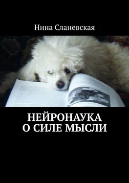 Нина Сланевская Нейронаука о силе мысли обложка книги
